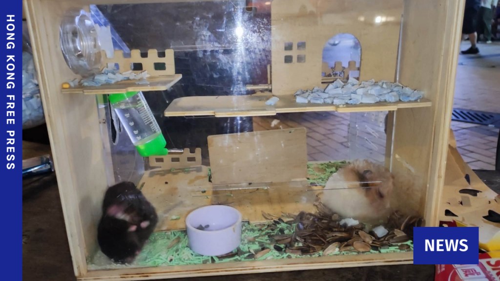 PETA hamster