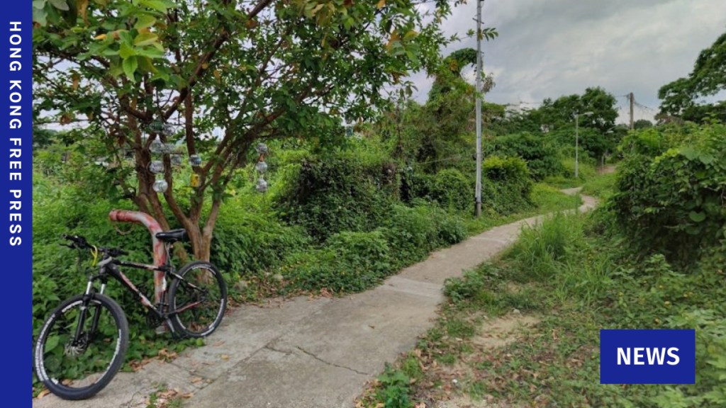 Ping Yeung Village in Ta Kwu Ling. Photo: Google Map.