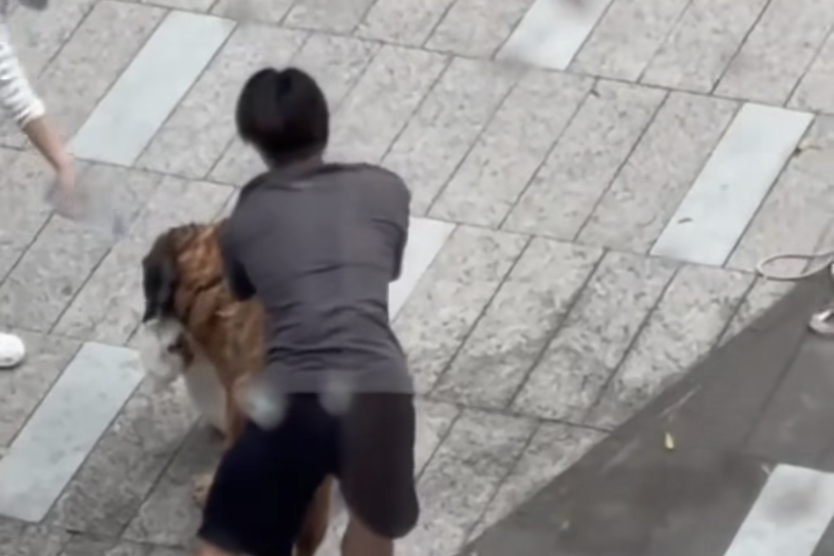 An online video shows people trying to pull a large dog away from a smaller dog it was attacking. Photo: Screenshot via Threads.
